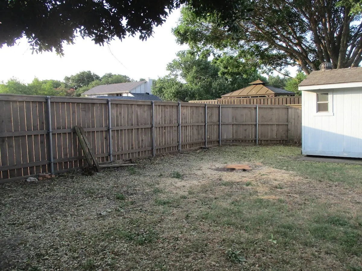 Cleared yard after professional tree removal in Onaway